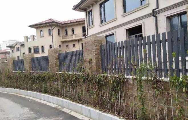 1615797903370623.jpg 12.jpg