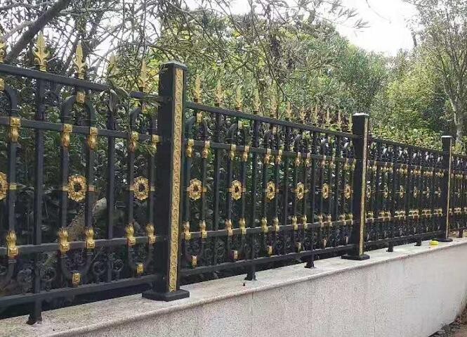 1616334072518306.jpg 17.jpg